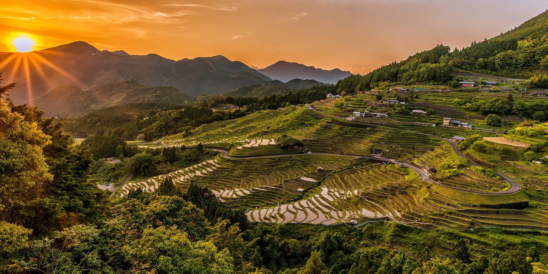 rice-terraces-2389023_1920