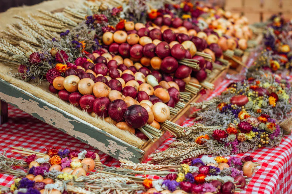 CulturallyOurs-Weimar-Germany-Onion-Festival-One-Of-The-Oldest-Folk-Festival-In-Germany-1